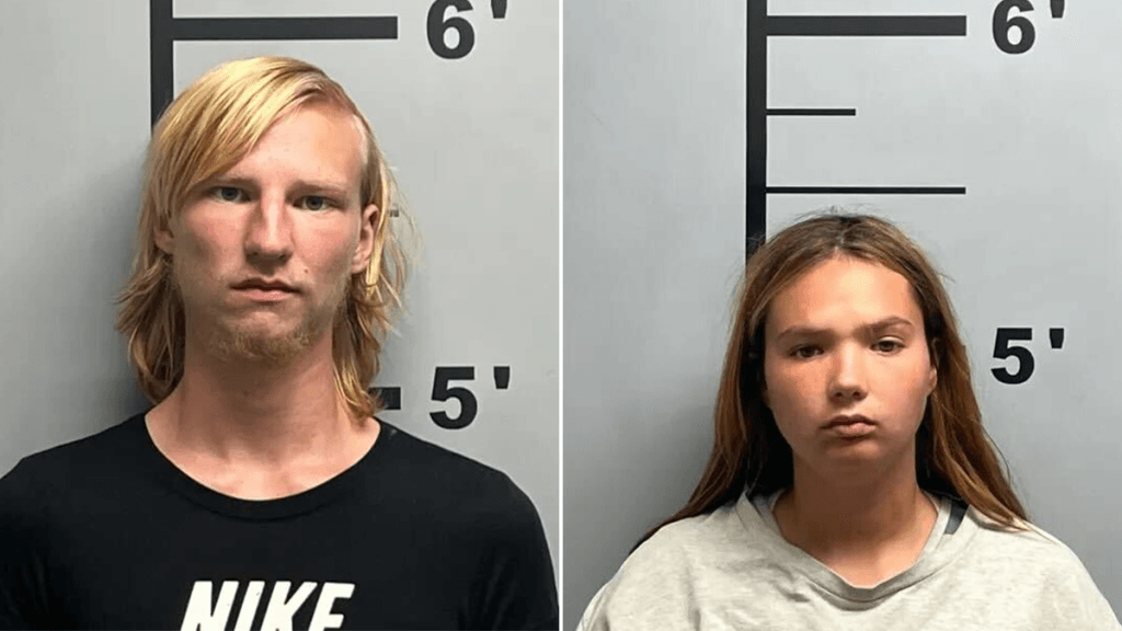 Internet InfoMedia arkansas couple allegedly tried to sell baby for 1k beer because caring for baby 3 dogs was not working