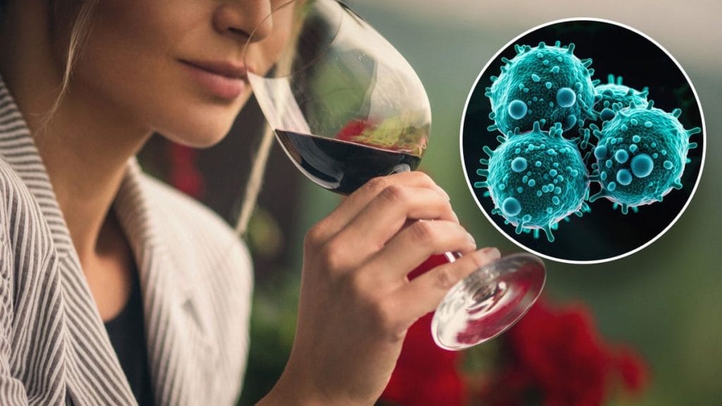 Internet InfoMedia drinking alcohol is linked to six types of cancer experts say its toxic