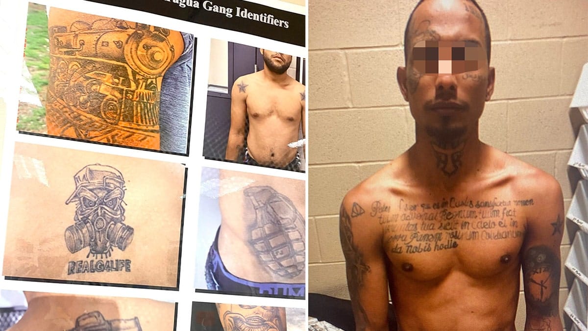 Internet InfoMedia tren de aragua members of violent venezuelan migrant gang arrested in texas hsi