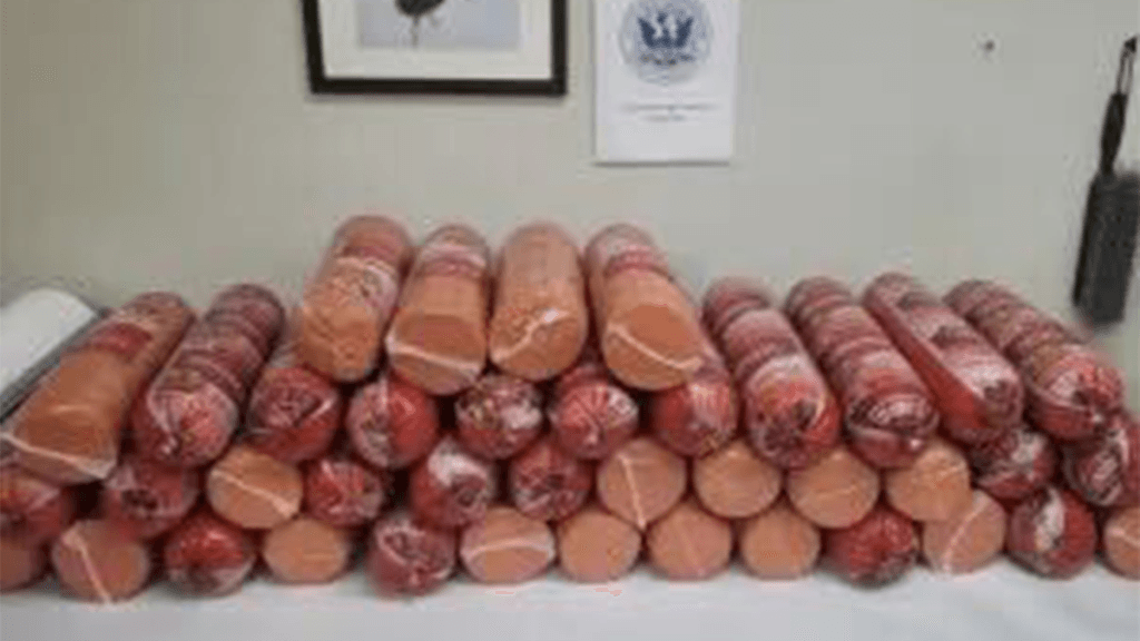 Internet InfoMedia woman caught smuggling more than 700 pounds of bologna at southern border cbp