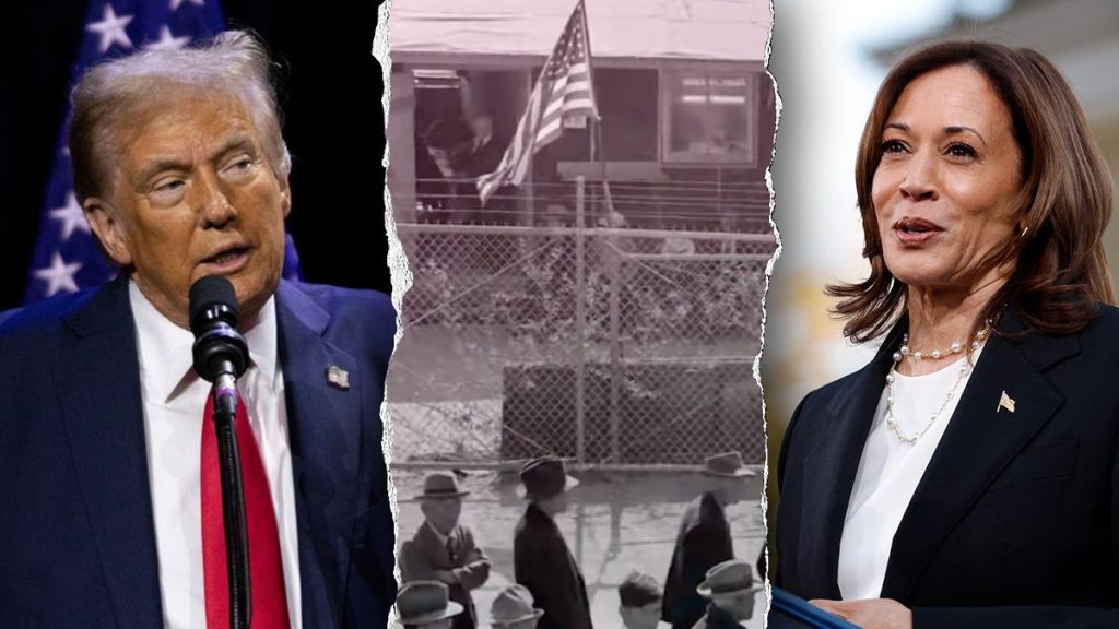 Internet InfoMedia harris ad suggests trump will send asians back to interment camps