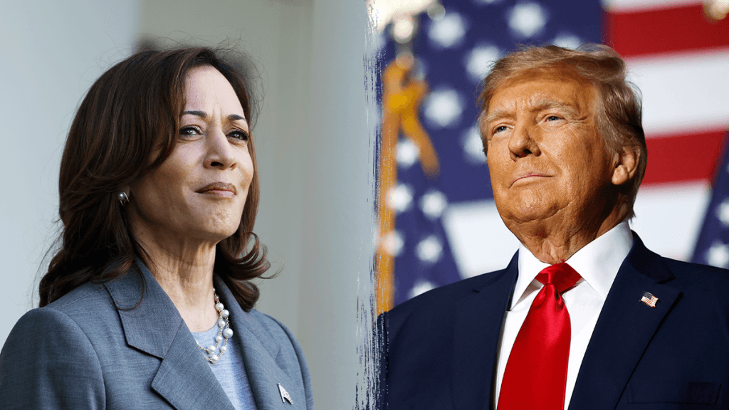 Internet InfoMedia harris and trump make separate pitches to voters on fox news and more top headlines