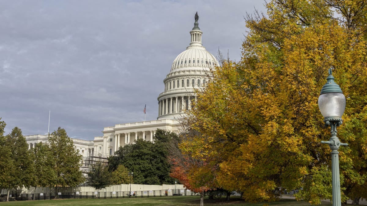 Police arrest man at US Capitol smelling of fuel who had manifesto, flare gun and blow torch Internet InfoMedia police arrest man at us capitol smelling of fuel who had manifesto flare gun and blow torch