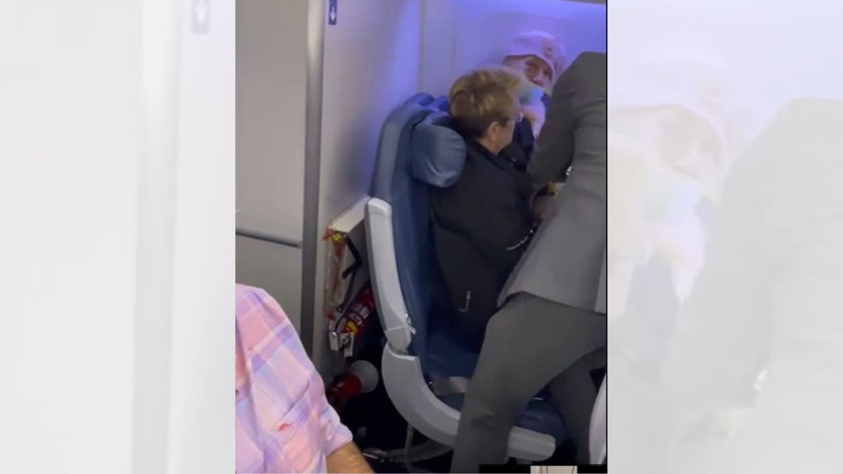 Delta stowaway apprehended by FBI at JFK airport upon landing in New York Internet InfoMedia delta stowaway apprehended by fbi at jfk airport upon landing in new york