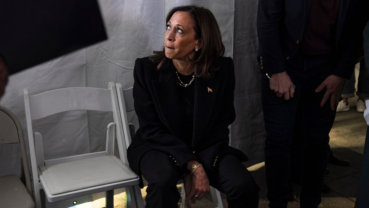 Kamala Harris aide admits Democrats 'losing hold of culture' as influencer media shifts right Internet InfoMedia kamala harris aide admits democrats losing hold of culture as influencer media shifts right