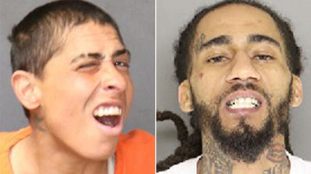 Internet InfoMedia mugshots of the week dec 8 14 2024