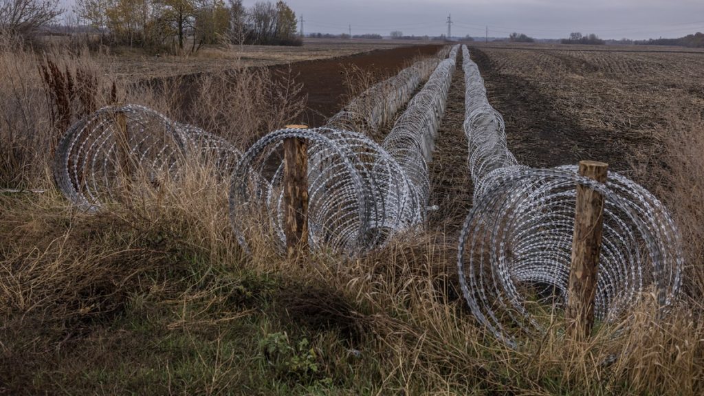 Internet InfoMedia russian paramilitary soldiers killed in friendly fire attack by north koreans after enlisting dprk help