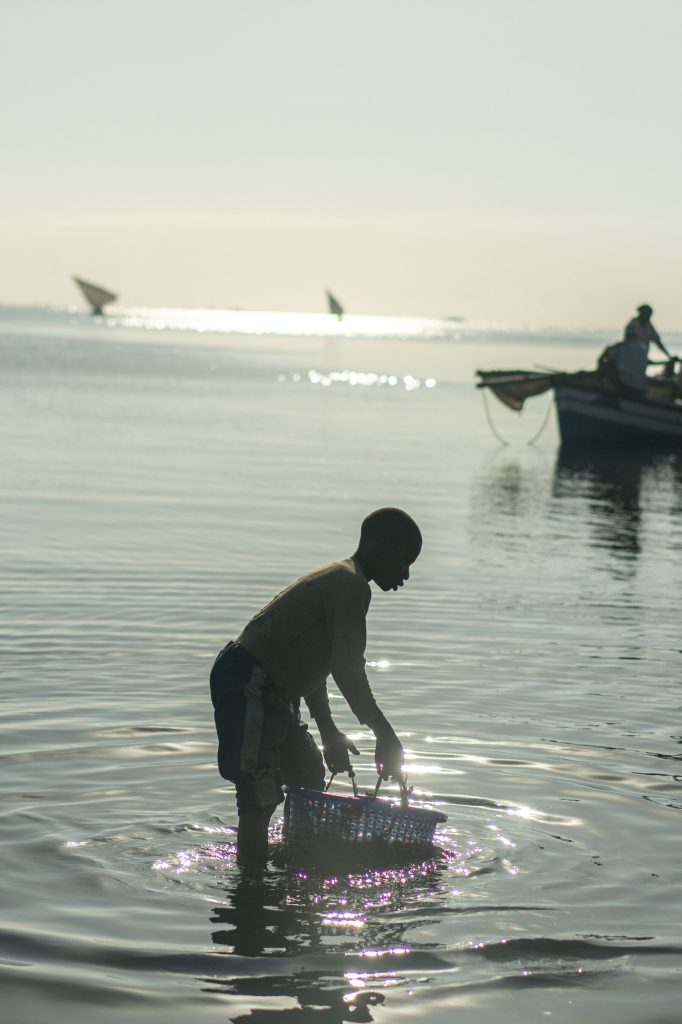 Internet InfoMedia this part of mozambique was like paradise now its a terrorist hotbed