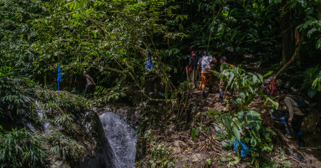 Internet InfoMedia deportation flights to venezuela to begin within next 30 days trump border czar says