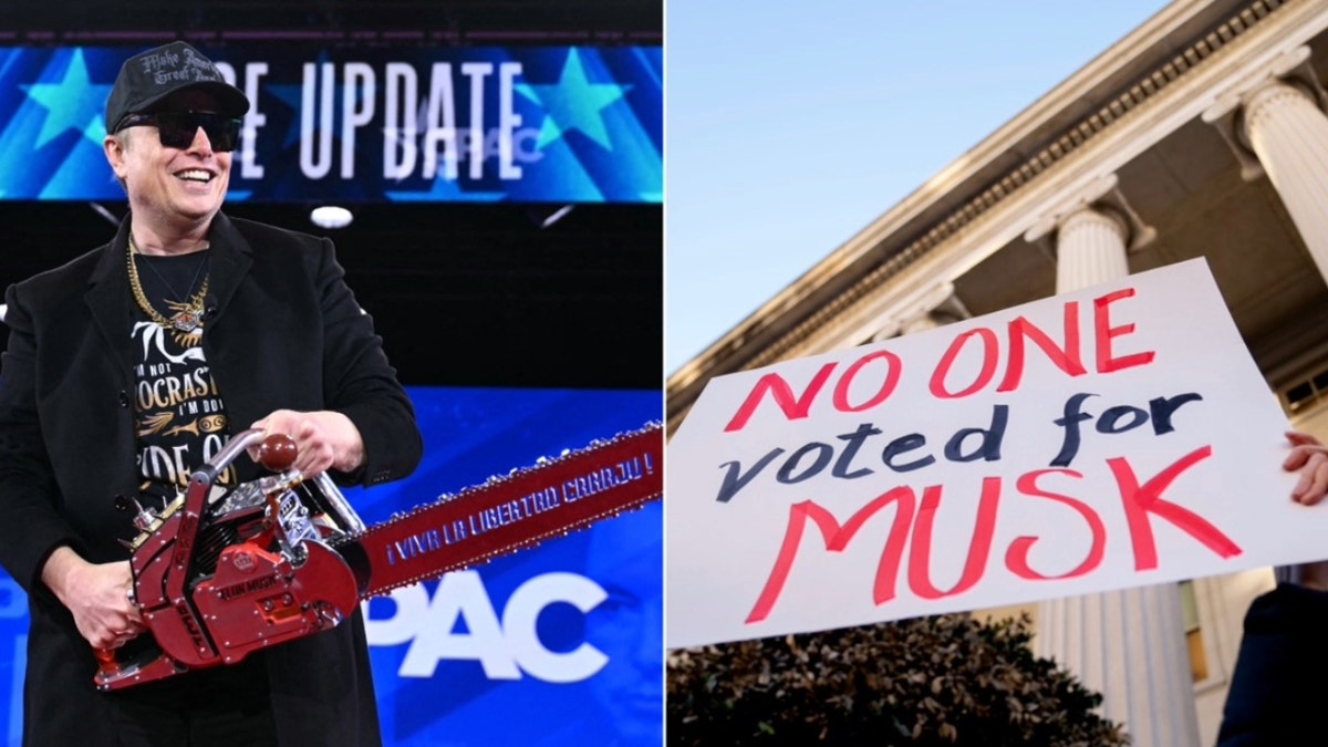 Internet InfoMedia doge takes a chainsaw to federal spending with 7 major victories this week got to be done