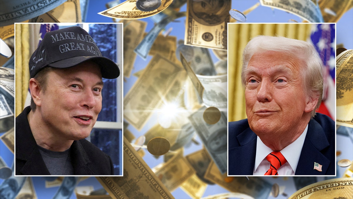 Elon Musk opens up about his experience with 'Trump Derangement Syndrome' during 'Hannity' exclusive Internet InfoMedia elon musk opens up about his experience with trump derangement syndrome during hannity