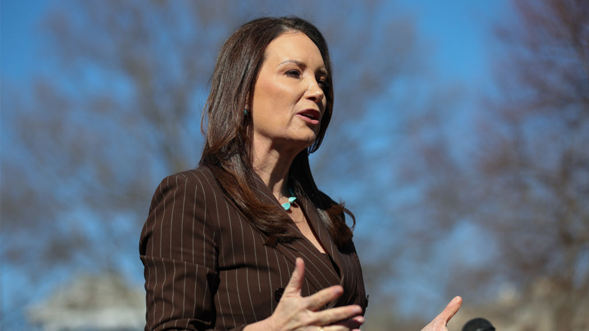 Federal department slashes millions in contracts, including $230K for 'Brazilian forest and gender consultant' Internet InfoMedia federal department slashes millions in contracts including 230k for brazilian forest and gender consultant