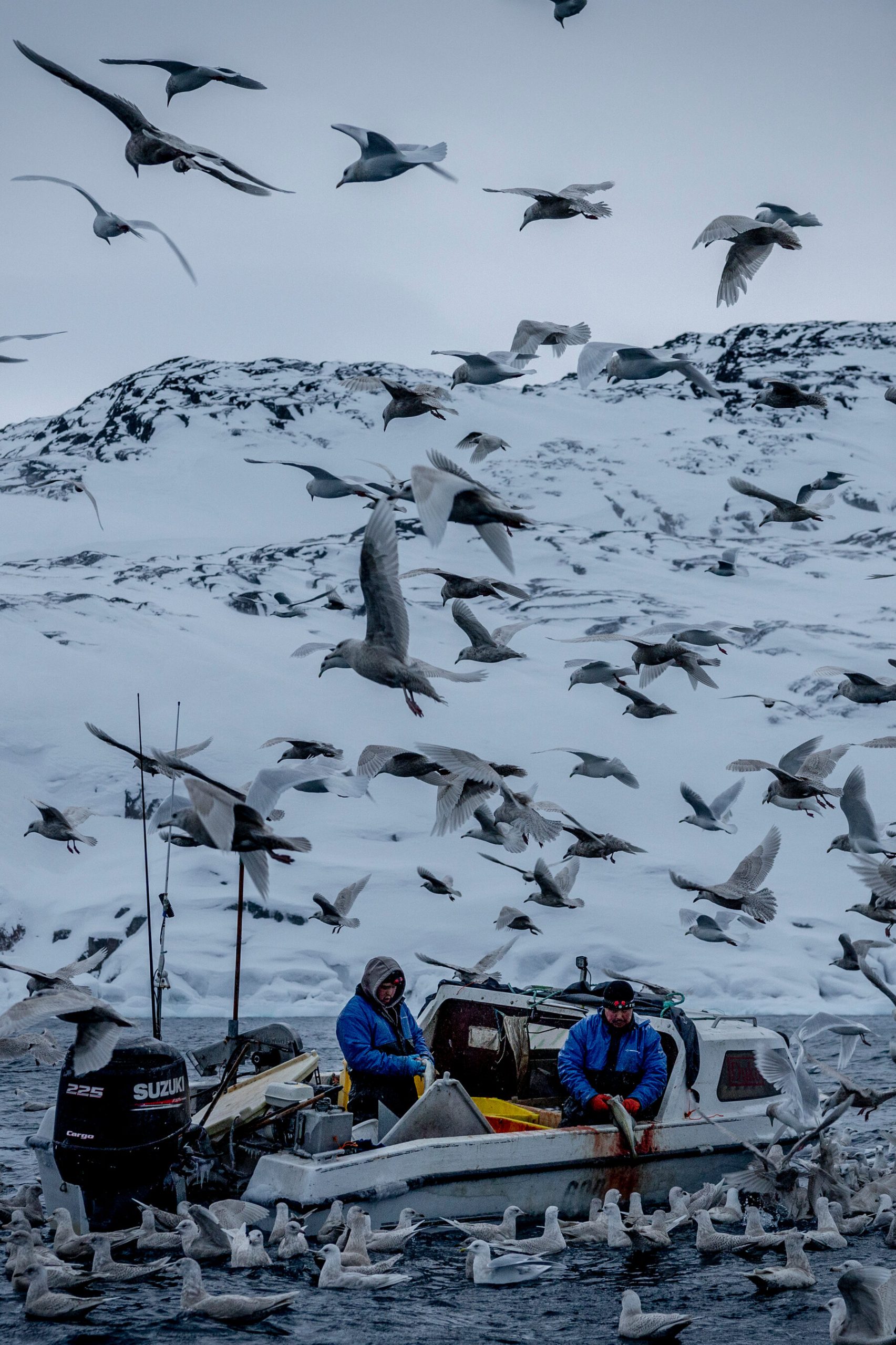 Greenland’s Big Moment Internet InfoMedia greenlands big moment scaled