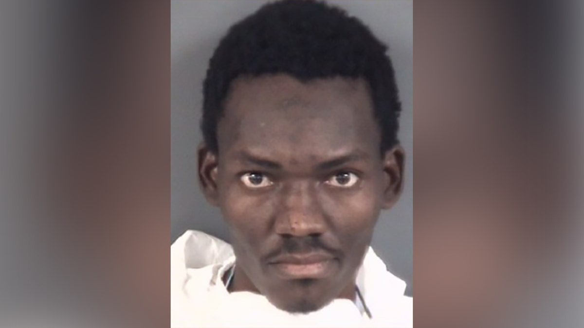 Haitian man charged in NC triple murder flew into US under Biden migrant flights program: ICE Internet InfoMedia haitian man charged in nc triple murder flew into us under biden migrant flights program ice