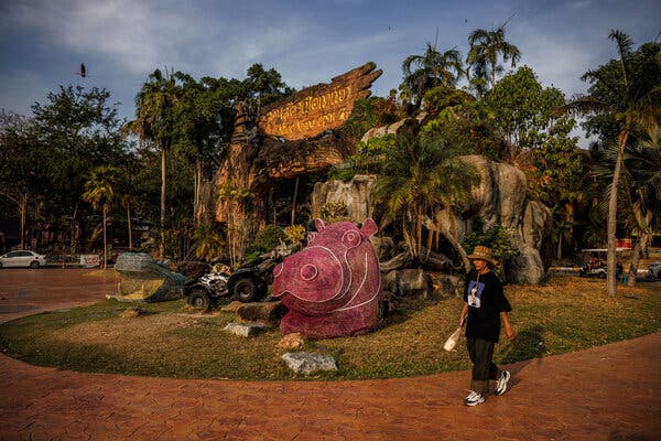 Internet InfoMedia moo deng the toddler hippopotamus still has star power