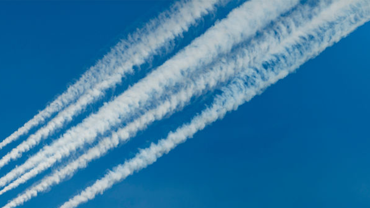 Plane catches fire at air show in Texas, 1 person injured: reports Internet InfoMedia plane catches fire at air show in texas 1 person injured reports