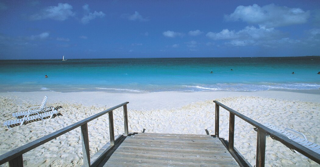 Shark Bites Tourist Who Was Trying to Take Photo With It Internet InfoMedia shark bites tourist who was trying to take photo with it