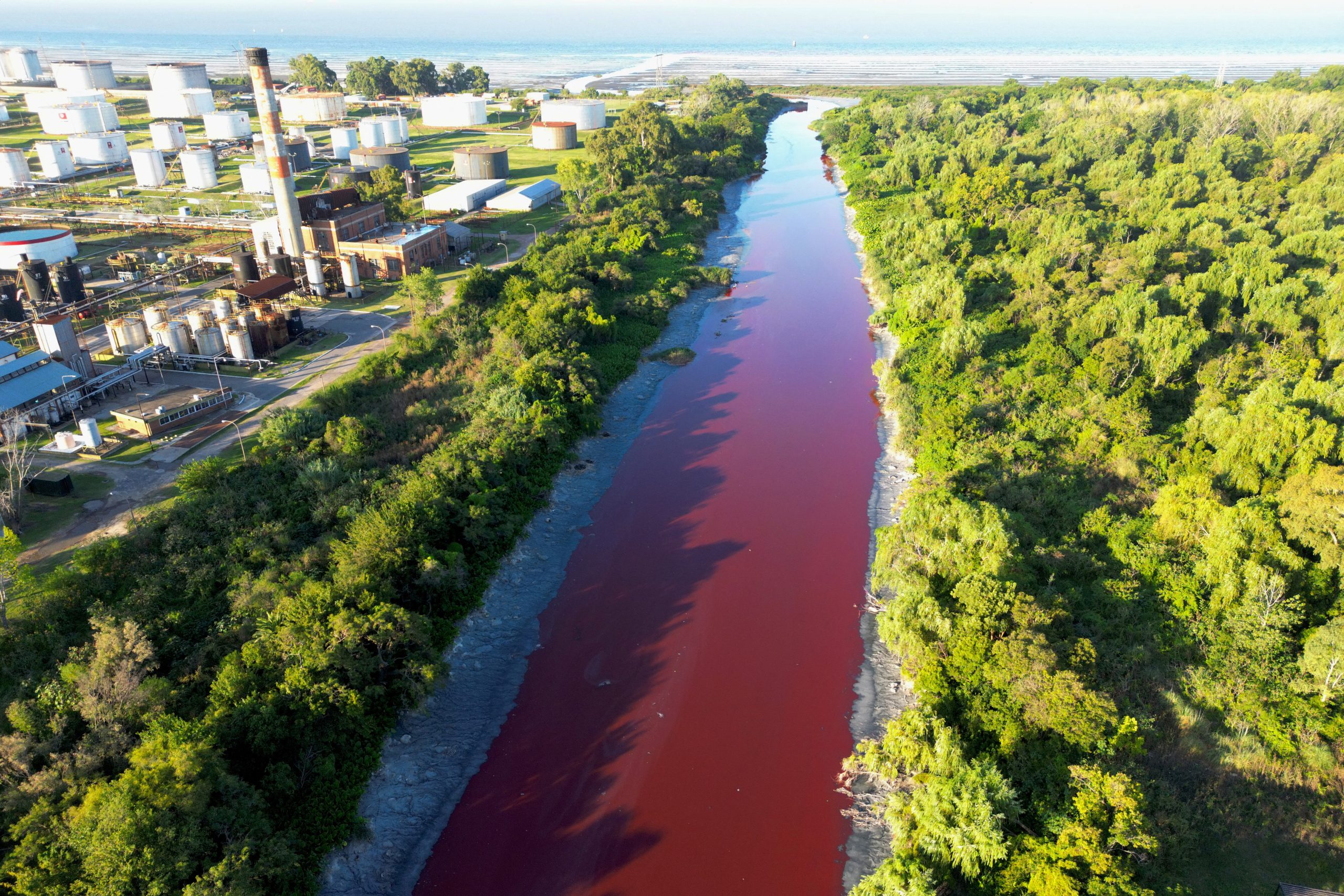 Internet InfoMedia stream near buenos aires turns red like a river covered in blood scaled