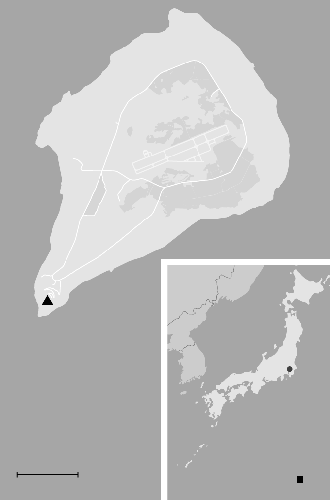 Internet InfoMedia the battle of iwo jima a photo history