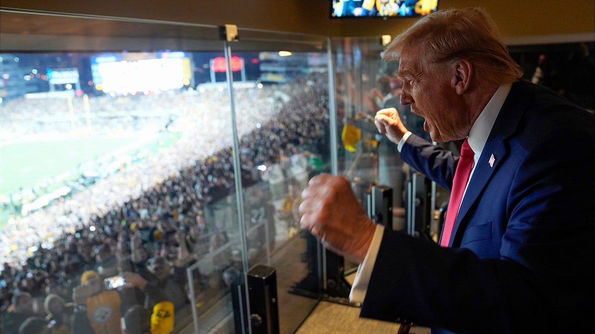 The Super Bowl team Trump may not be rooting for on Sunday Internet InfoMedia the super bowl team trump may not be rooting for on sunday
