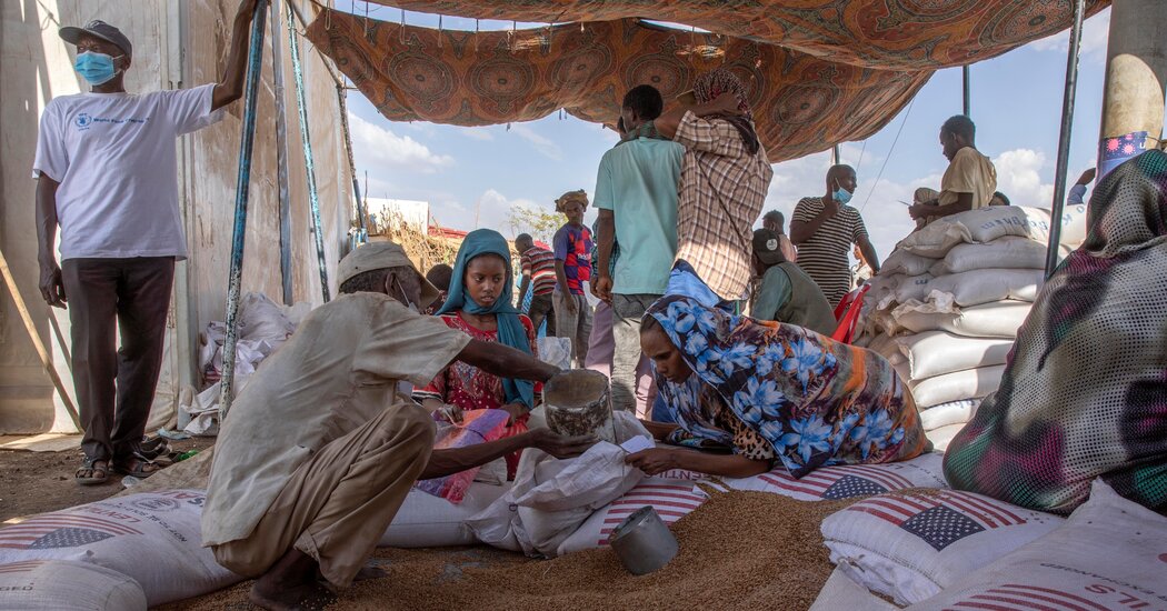 Trump and Musk Bring Vast Aid Machinery to a Halt in Africa Internet InfoMedia trump and musk bring vast aid machinery to a halt in africa