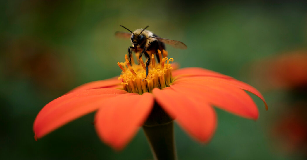 Trump Killed a Major Report on Nature. They’re Trying to Publish It Anyway. Internet InfoMedia trump killed a major report on nature theyre trying to publish it anyway