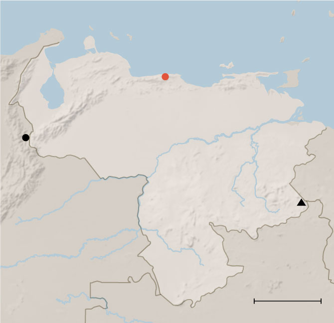 Americans Describe Being Detained as Hostages in a Venezuelan Prison Internet InfoMedia americans describe being detained as hostages in a venezuelan prison