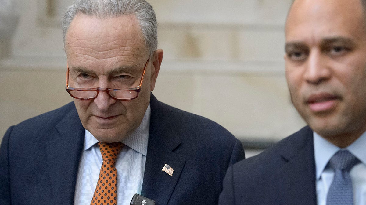 Internet InfoMedia chuck schumer draws ire of democrats liberal media voices after voting to avert shutdown