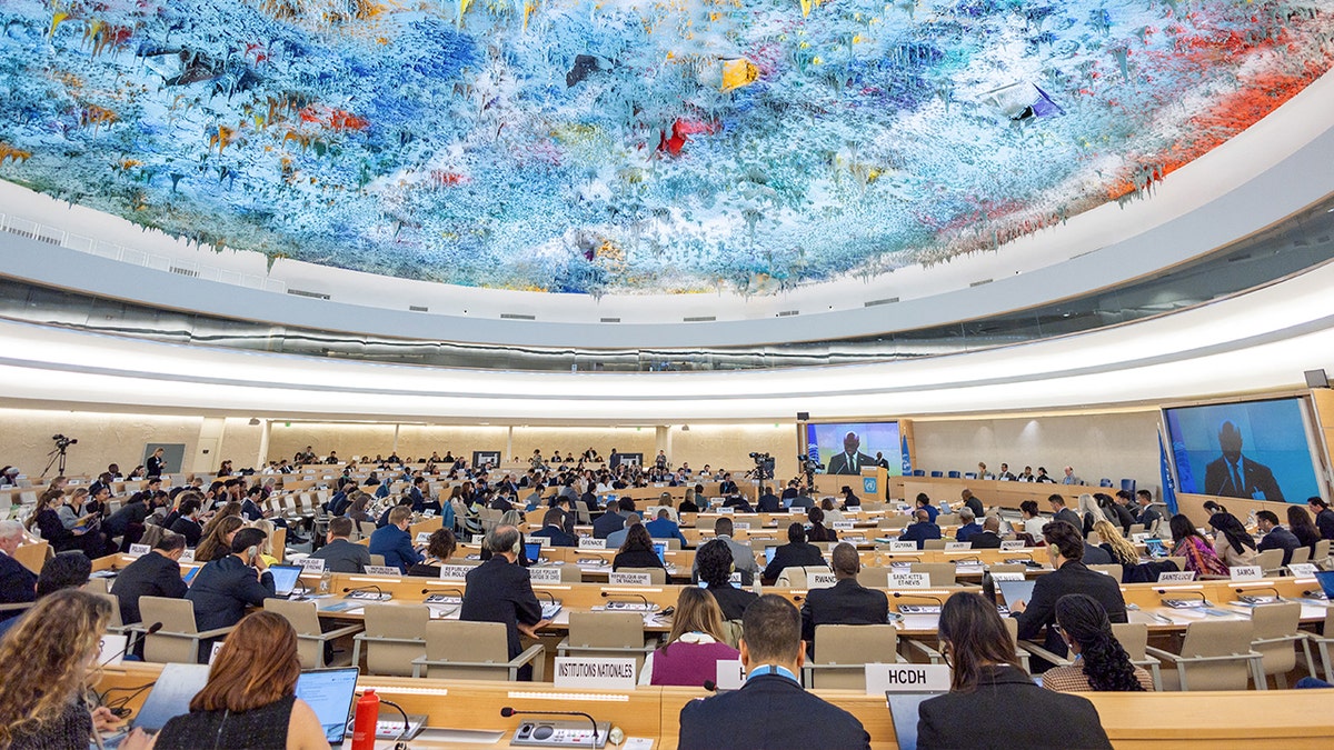 Internet InfoMedia human rights council blocks watchdog chief from criticizing un official accused of antisemitism