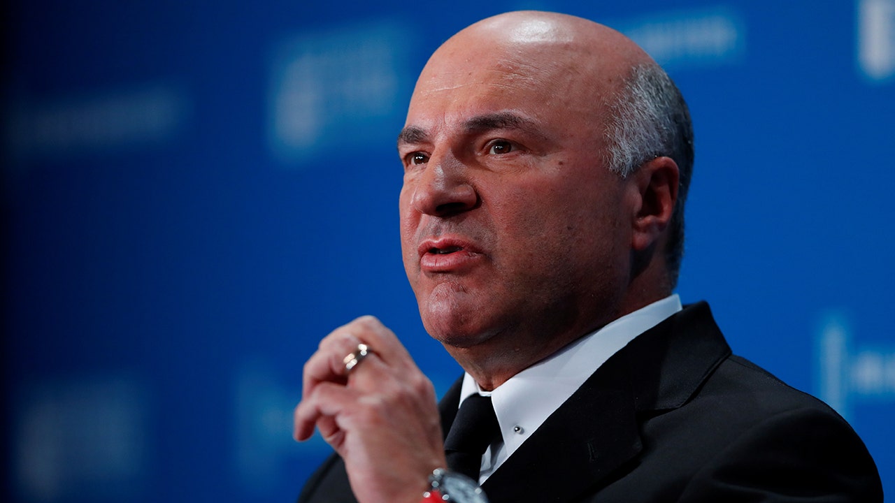Mr. Wonderful talks 'excitement' around cryptocurrency under Trump: America is in a 'new phase' Internet InfoMedia mr wonderful talks excitement around cryptocurrency under trump america is in a new phase