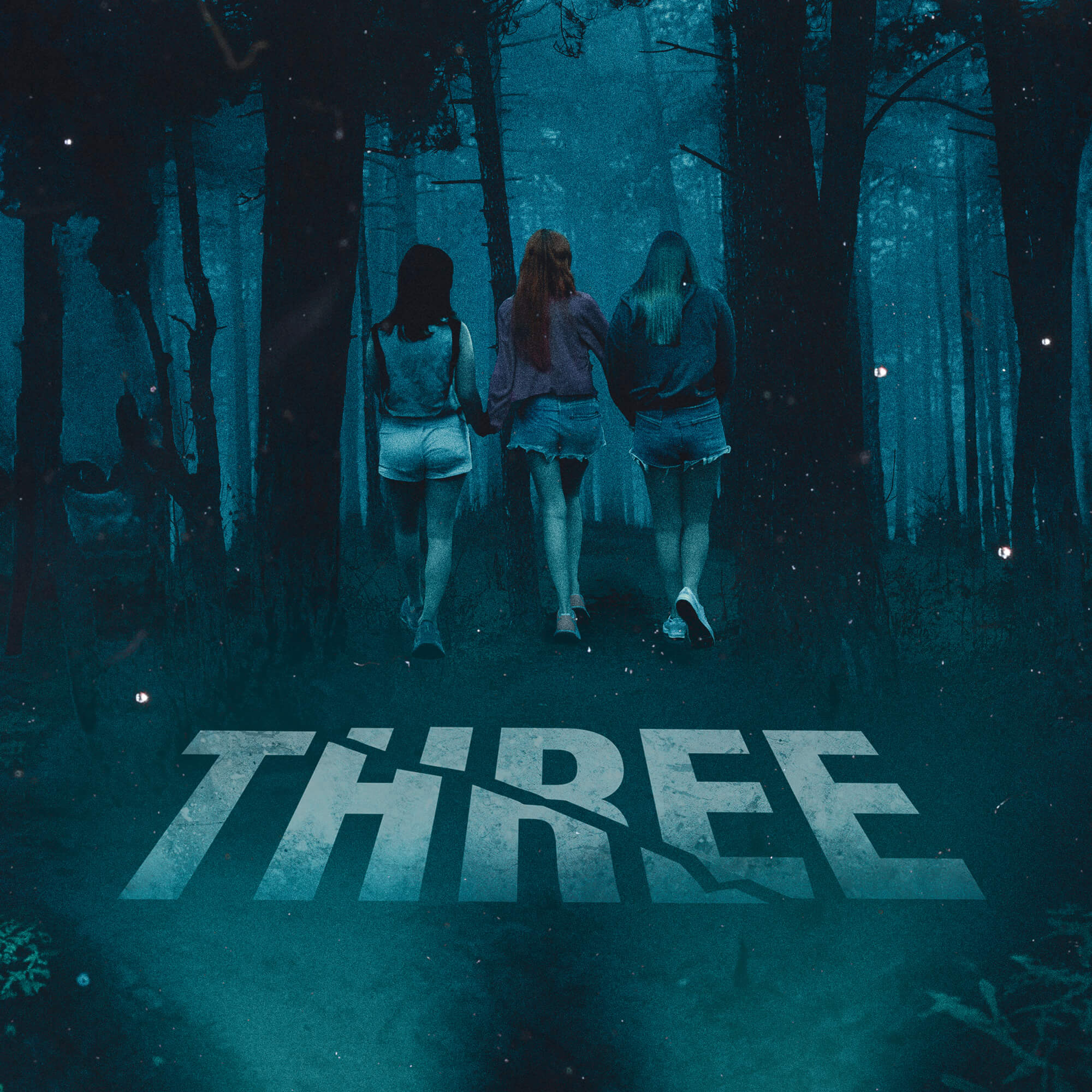 Internet InfoMedia murdered dana ireland