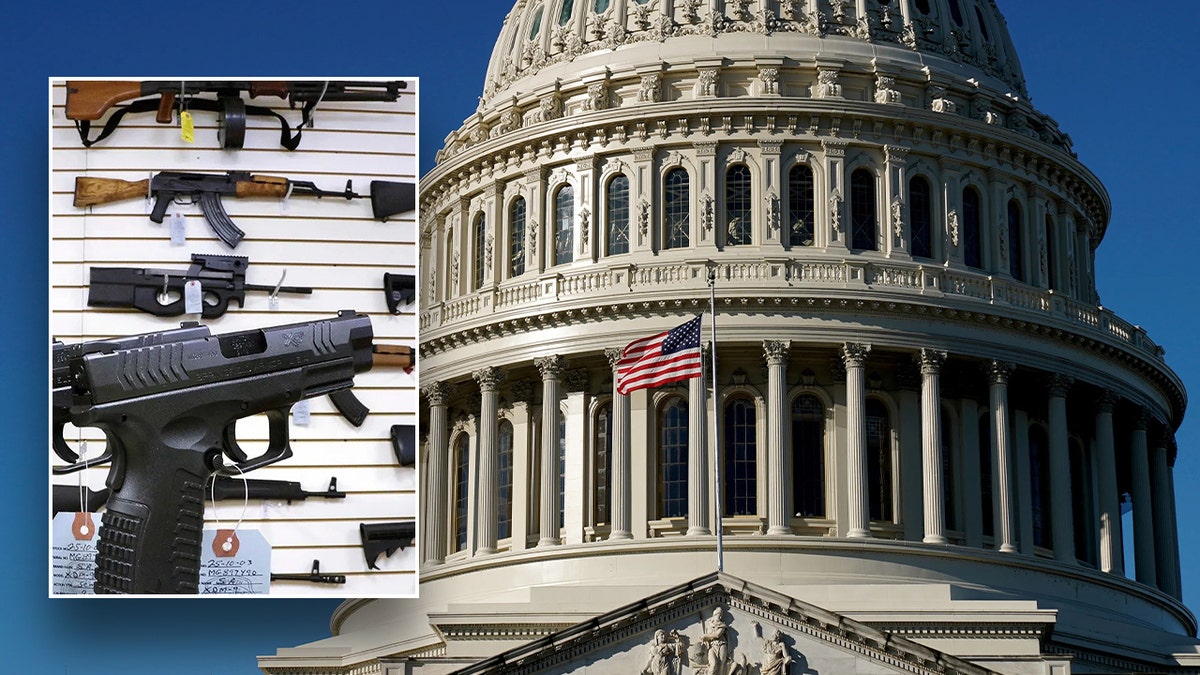 NRA legislative expert says gun rights could see 'most monumental' win in Congress since 2005 Internet InfoMedia nra legislative expert says gun rights could see most monumental win in congress since 2005
