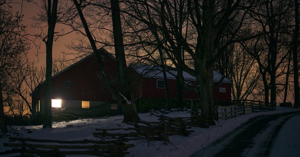 The Sunday Read: ‘What I Found on the 365-Mile Trail of a Lost Folk Hero’ Internet InfoMedia the sunday read what i found on the 365 mile trail of a lost folk hero