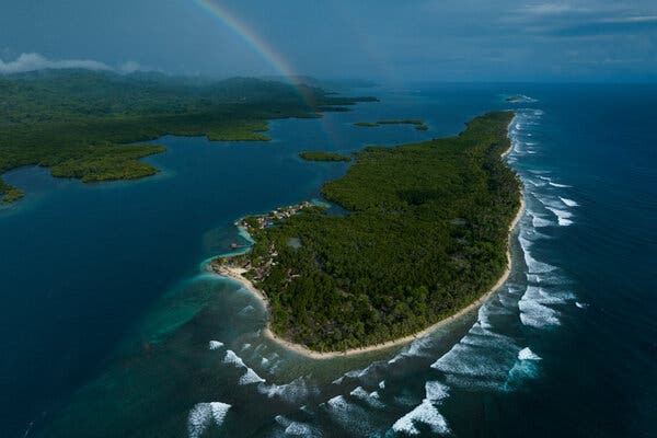 Why These Islanders Hunt Dolphins Internet InfoMedia why these islanders hunt dolphins