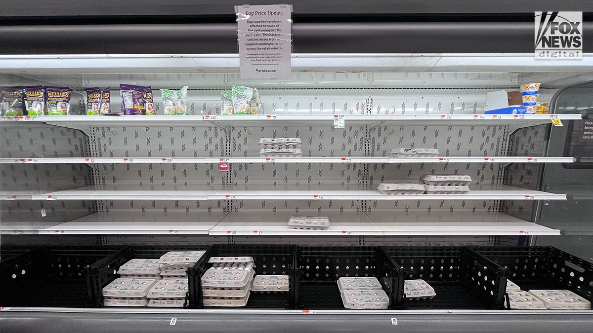 Internet InfoMedia agriculture secretary doesnt expect egg prices to significantly increase after trump tariff announcement