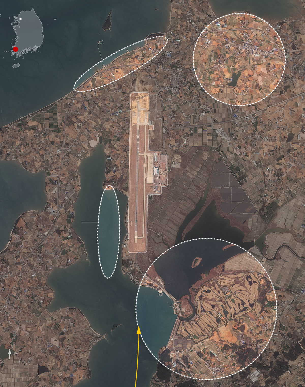 Airport Warned Repeatedly on Bird Strikes Before Fatal Jeju Air Plane Crash Internet InfoMedia airport warned repeatedly on bird strikes before fatal jeju air plane crash