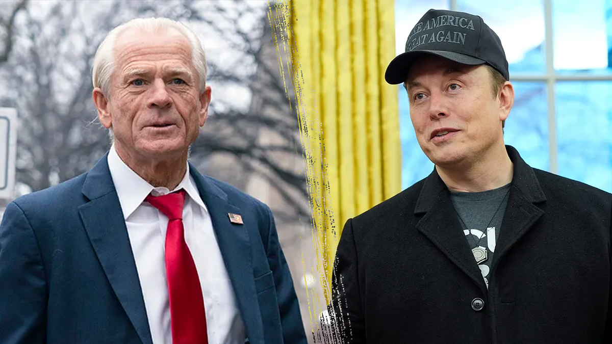 Internet InfoMedia donald trumps allies supporters and donors led by elon musk push to end tariff war