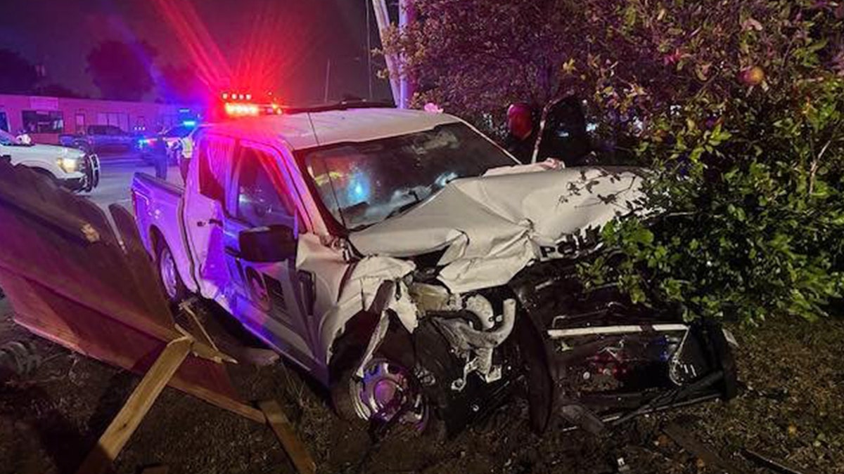 Florida police officer injured after illegal alien crashes into marked patrol car Internet InfoMedia florida police officer injured after illegal alien crashes into marked patrol car