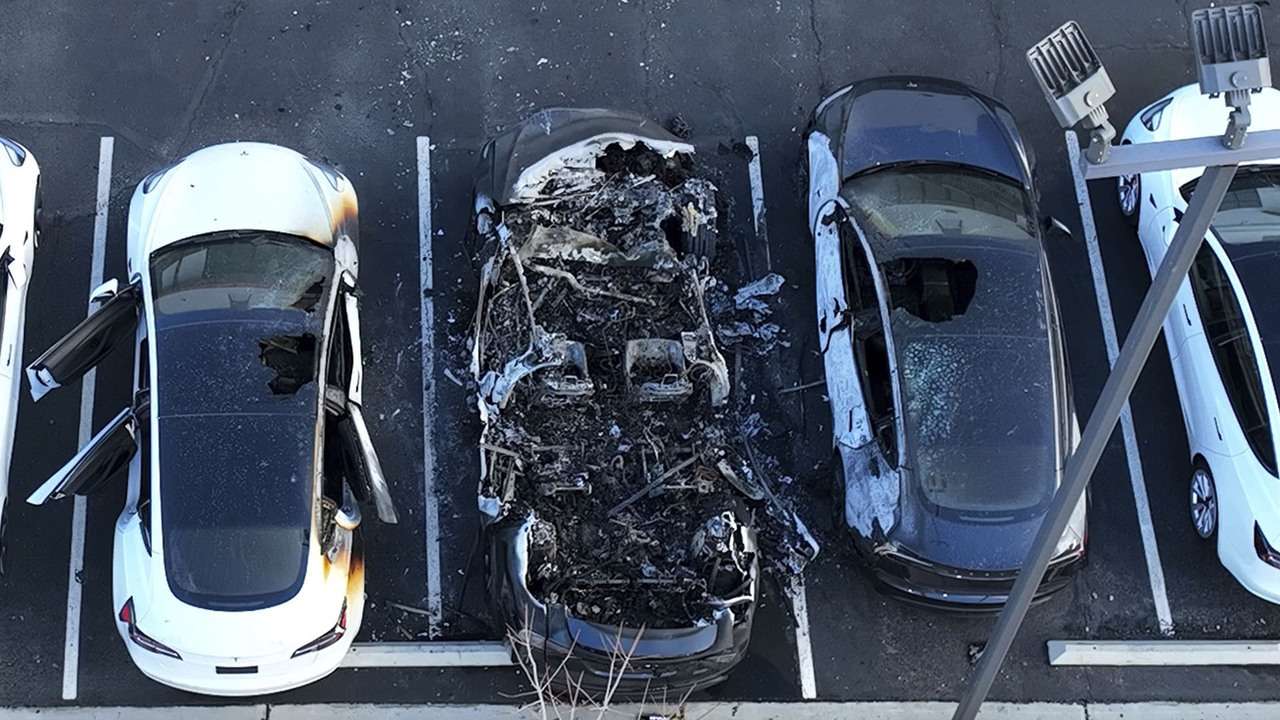 Internet InfoMedia gutfeld tuesday april 22