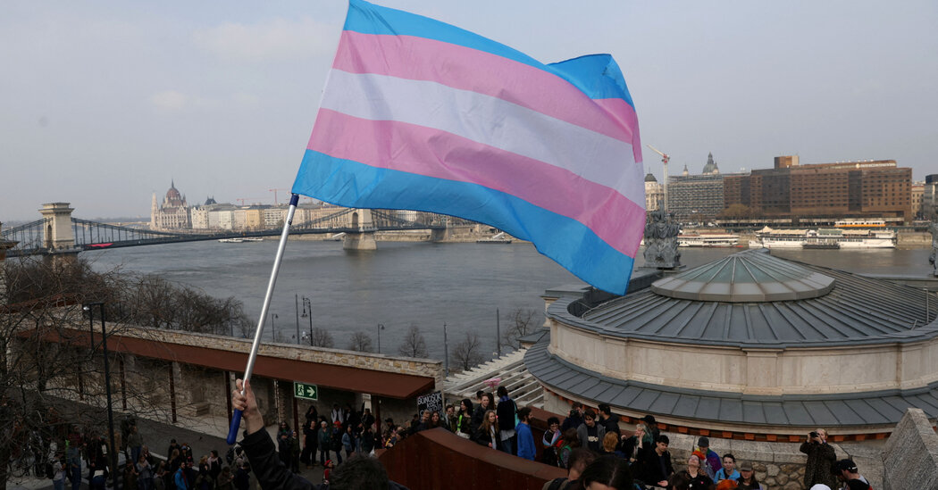 Hungary Changes Constitution to Mandate Two Genders Internet InfoMedia hungary changes constitution to mandate two genders