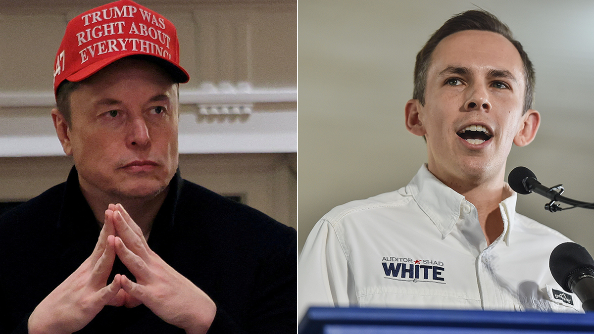 Internet InfoMedia mississippi musk state auditors moge report finds 400m in government waste