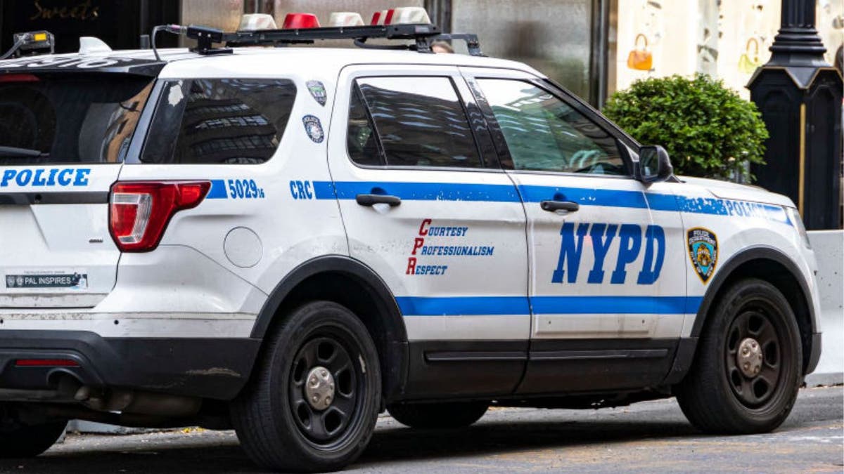 New York proposal would ban police from making traffic stops for minor violations to pursue 'racial equity' Internet InfoMedia new york proposal would ban police from making traffic stops for minor violations to pursue racial equity