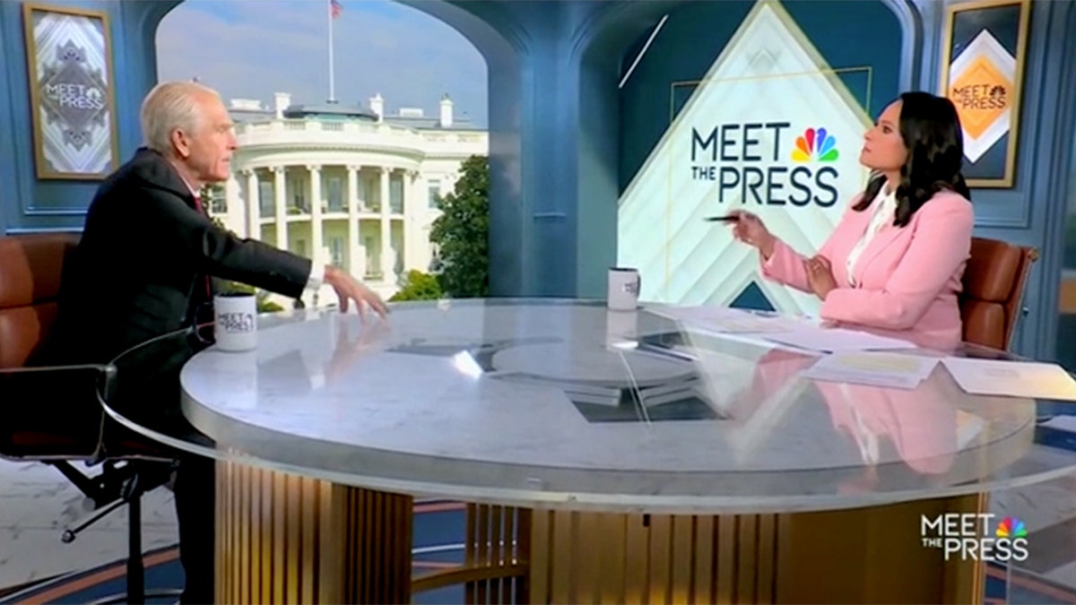 Internet InfoMedia peter navarro laughs off elon musk moron remark tells nbc host everything is fine