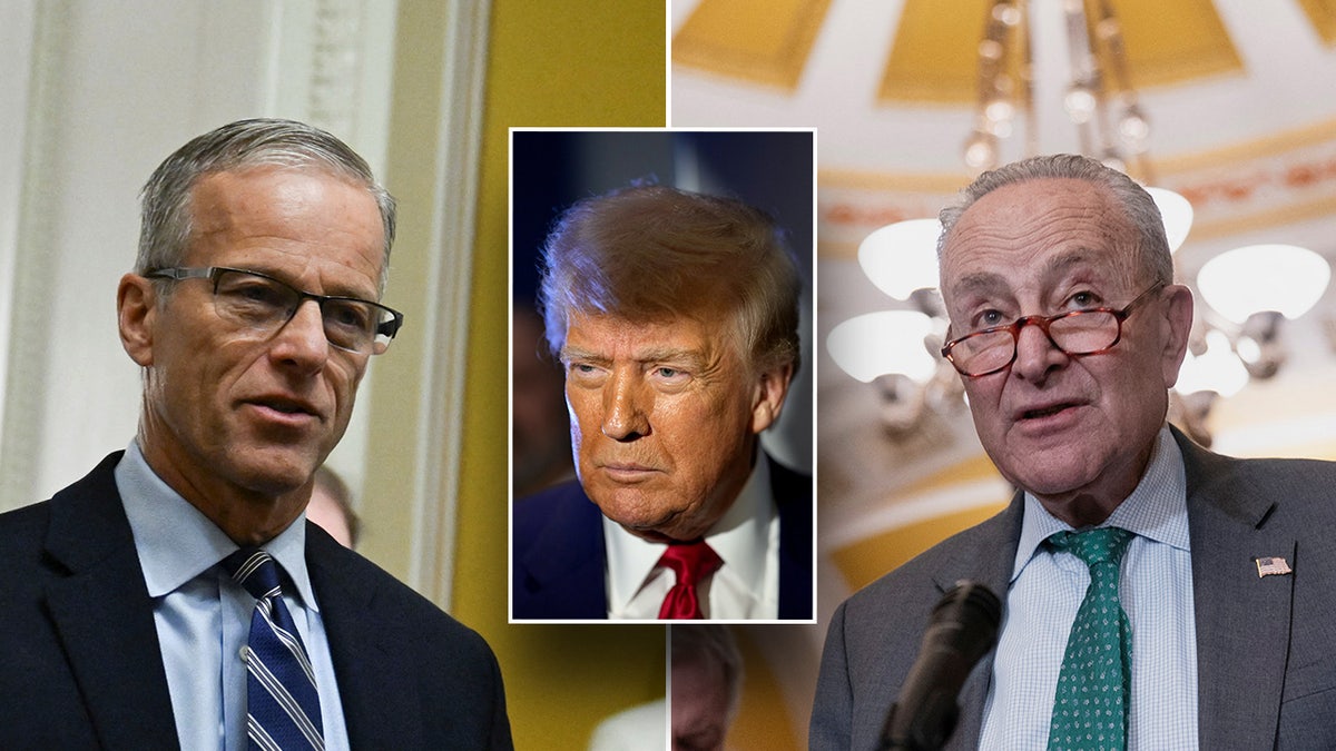 Senate GOP pushes Trump budget framework through after marathon vote series Internet InfoMedia senate gop pushes trump budget framework through after marathon vote series