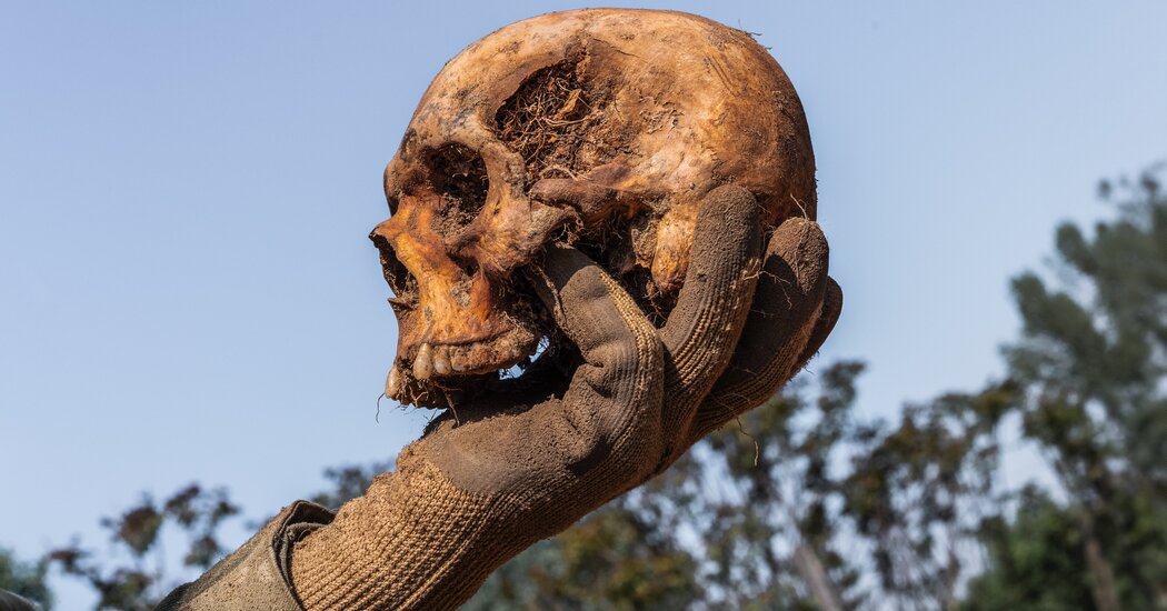 Internet InfoMedia the sunday read unburying the remains of the third reich