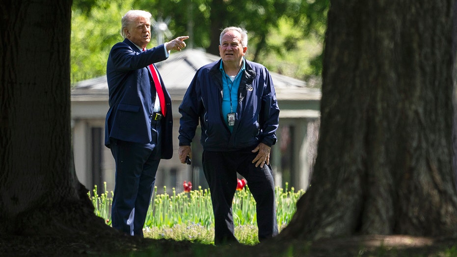 Internet InfoMedia trump unfurls plans for double 100 foot flagpoles during white house lawn walk