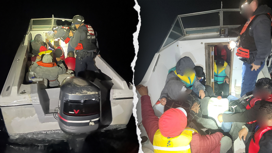 Internet InfoMedia coast guard catches 15 alleged illegal immigrants off the coast of san diego