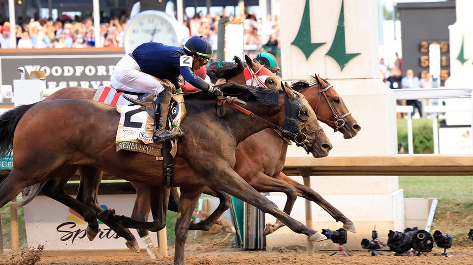 No horse, no USA: Why the naughty horses at the 151st Kentucky Derby continue to thrill us Internet InfoMedia no horse no usa why the naughty horses at the 151st kentucky derby continue to thrill us