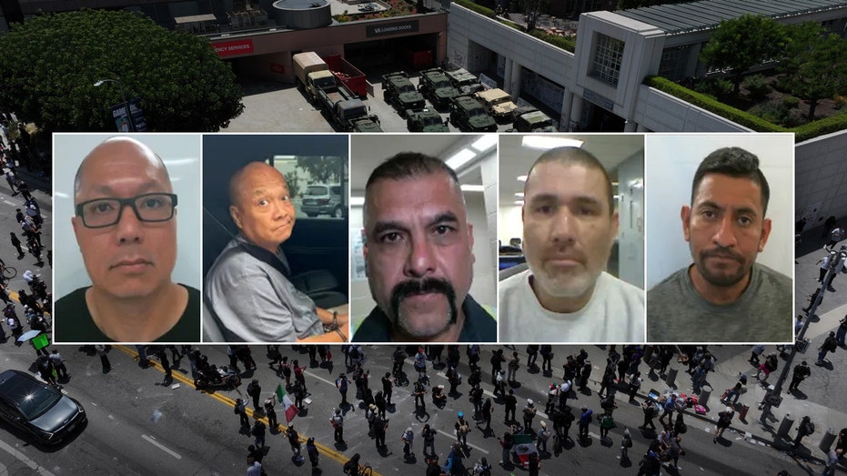 Internet InfoMedia ice arrests worst of the worst illegal aliens in los angeles while protesters advocate for criminals dhs