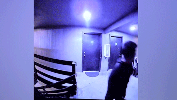 Internet InfoMedia suspected tren de aragua gang members terrorize apartment complex in shocking doorbell video